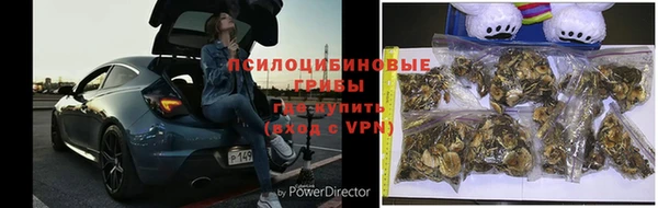 гашик Верхнеуральск