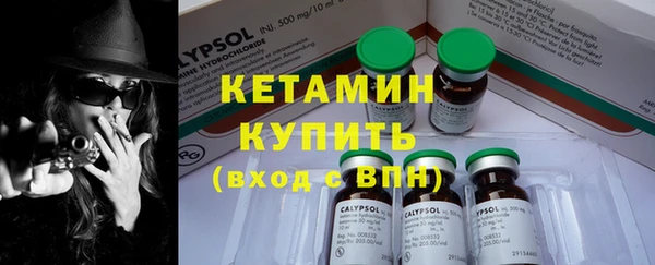 твердый Богородск